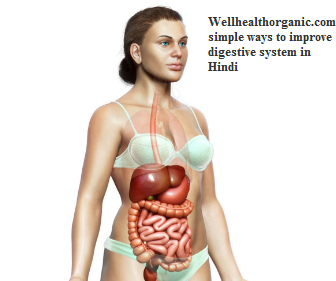 wellhealthorganic.com simple ways to improve digestive system in Hindi
